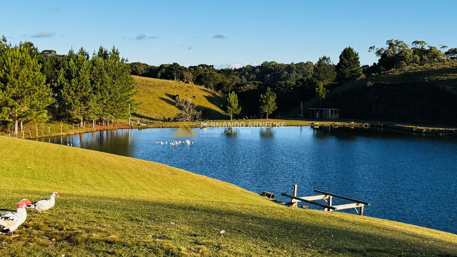 Sítio / Chácara 2 quartos para Venda no bairro Saiqui em Canela