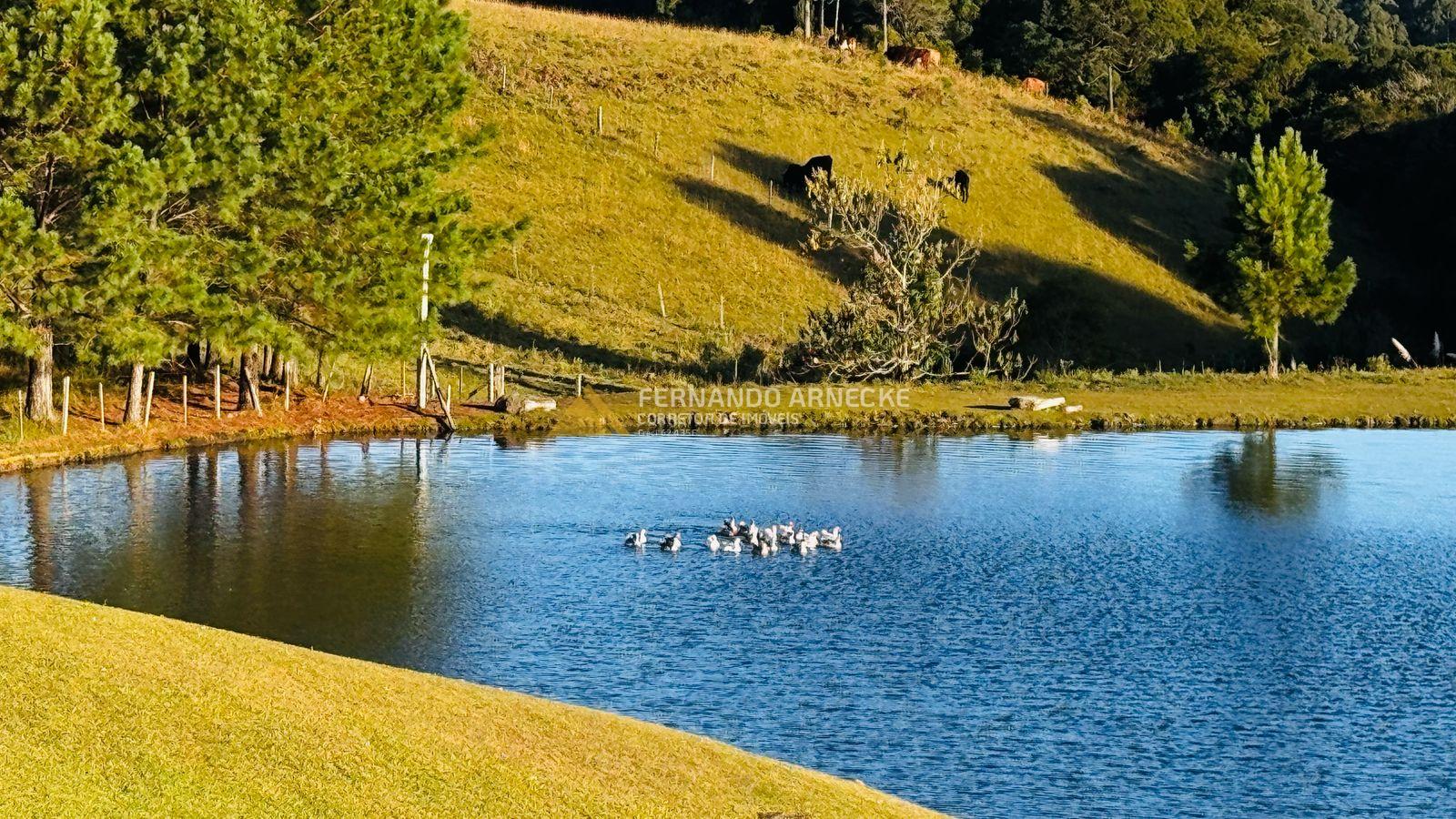 Sítio / Chácara 2 quartos para Venda no bairro Saiqui em Canela