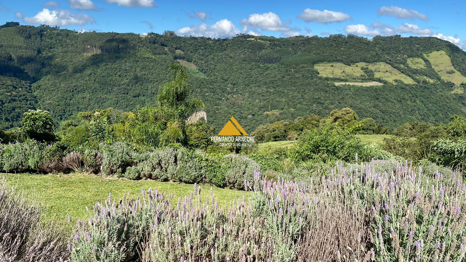 Sítio / Chácara para Venda no bairro Zona Rural em Nova Petrópolis