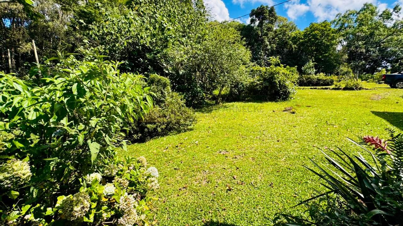 Sítio / Chácara para Venda em Santa Maria do Herval / RS