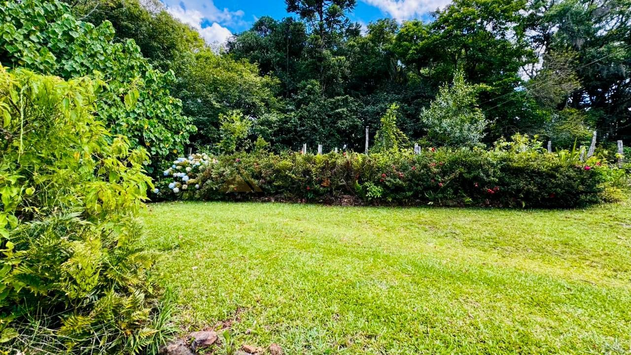 Sítio / Chácara para Venda em Santa Maria do Herval / RS