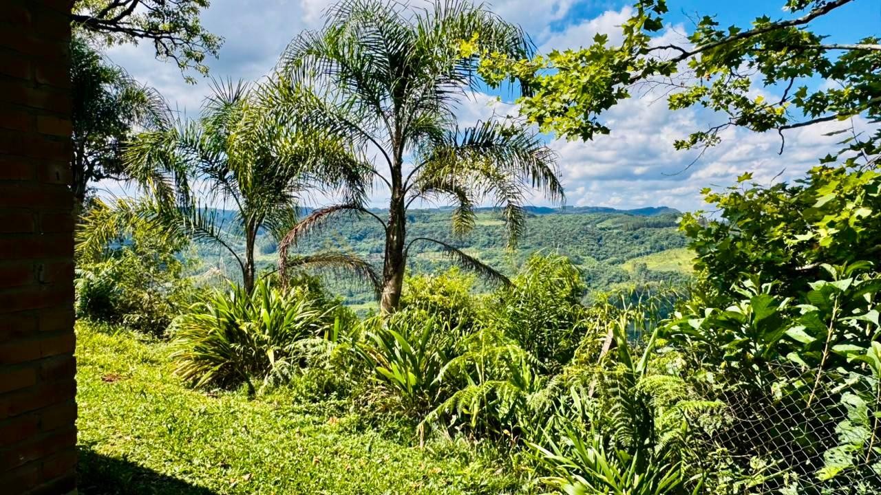 Sítio / Chácara para Venda em Santa Maria do Herval / RS