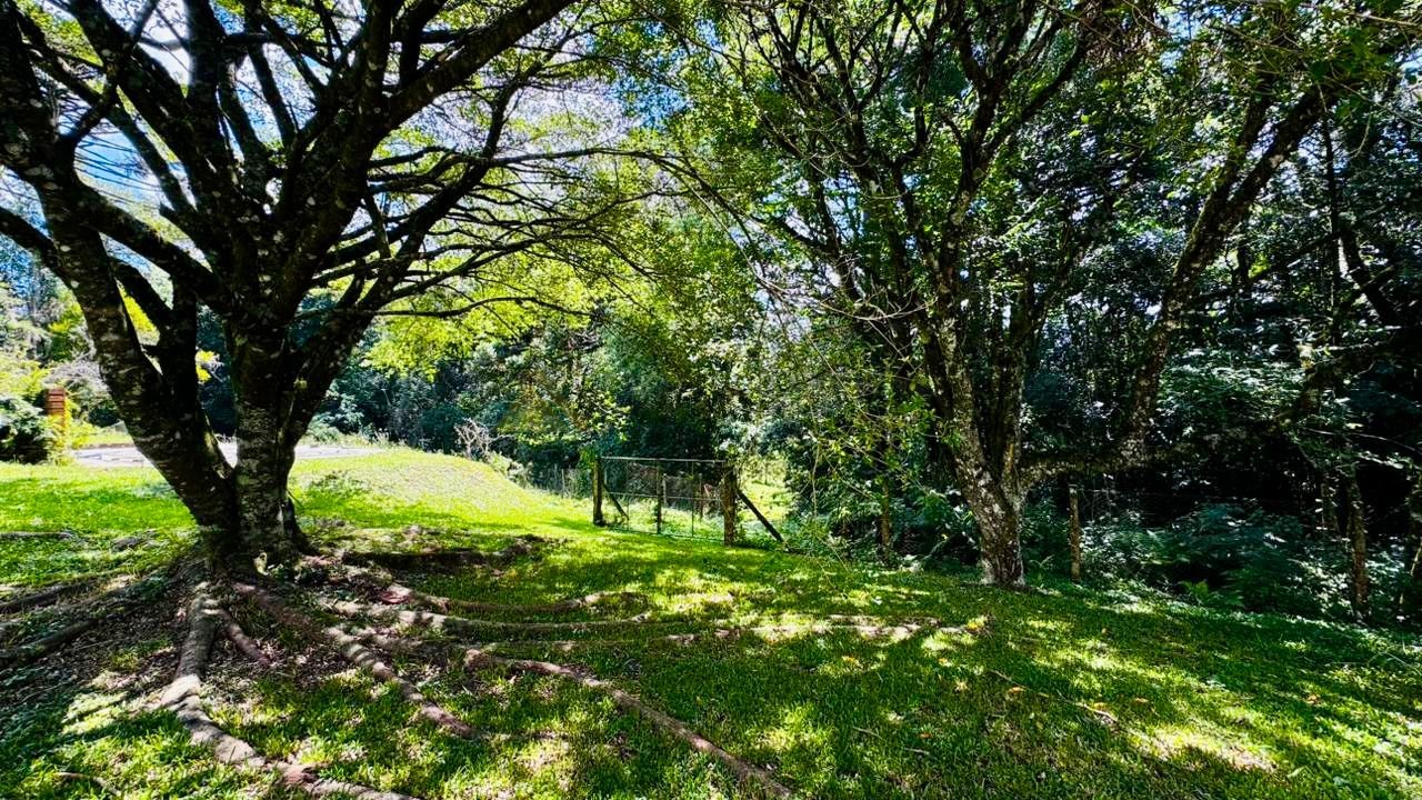 Sítio / Chácara para Venda em Santa Maria do Herval / RS