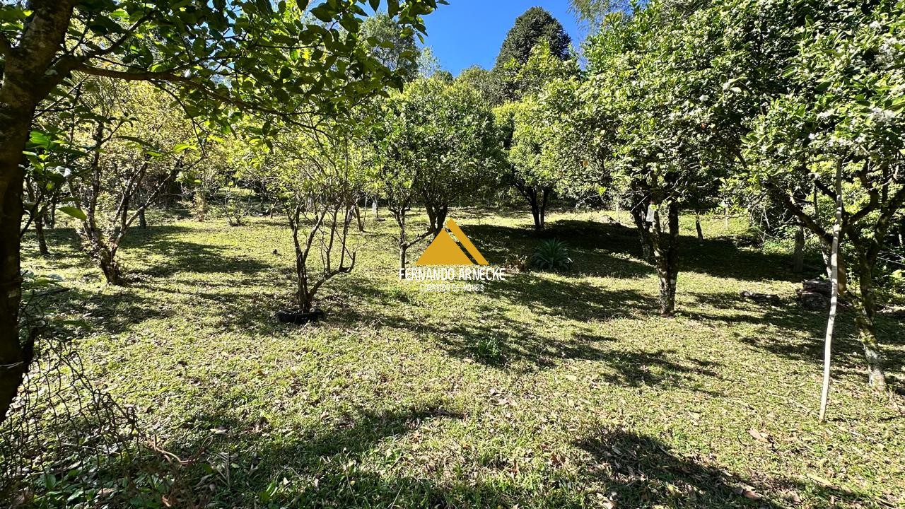 Sítio / Chácara  para Venda no bairro Recosta em São Francisco de Paula