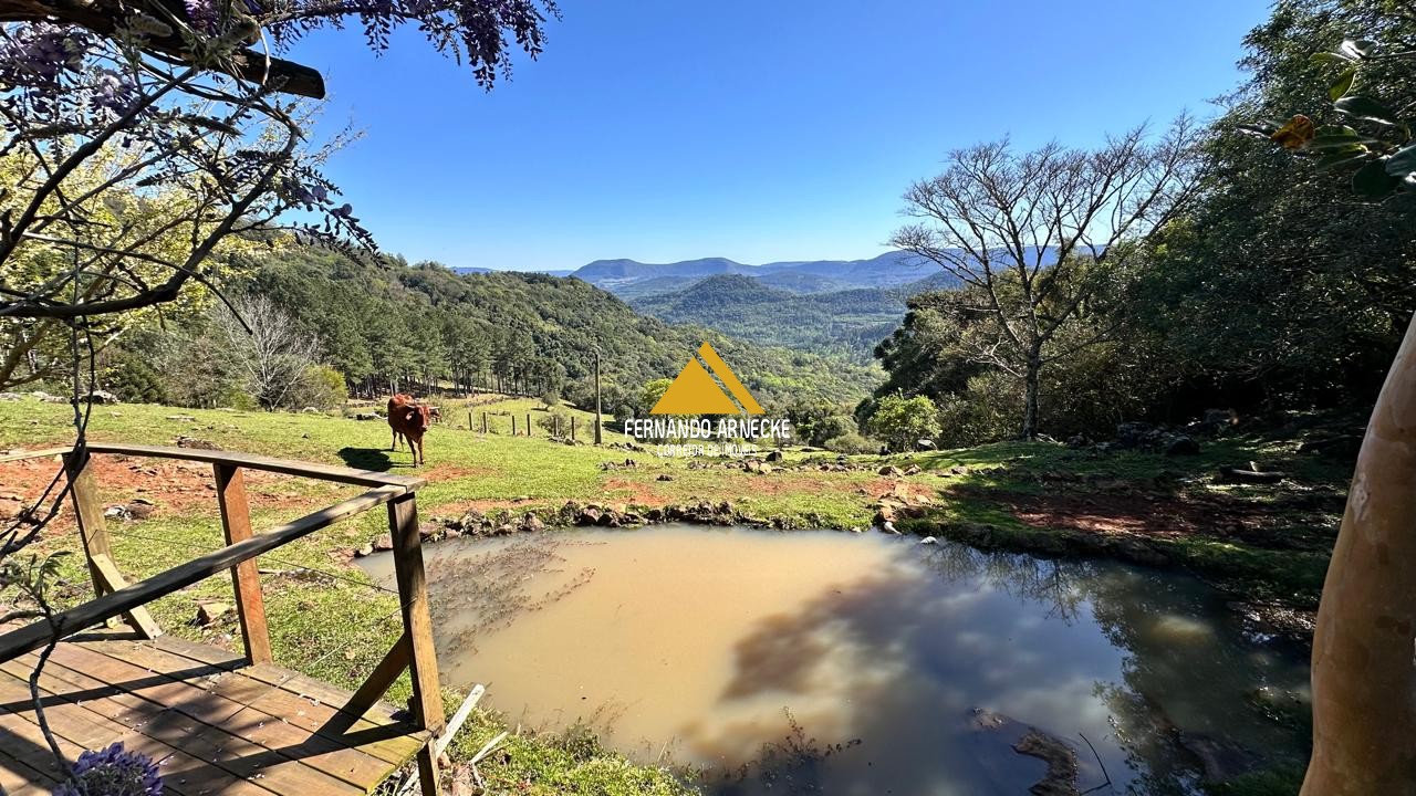 Sítio / Chácara  para Venda no bairro Recosta em São Francisco de Paula