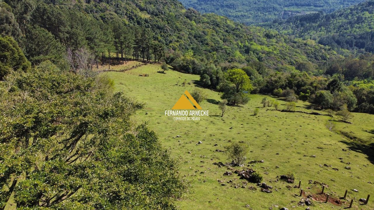 Sítio / Chácara  para Venda no bairro Recosta em São Francisco de Paula