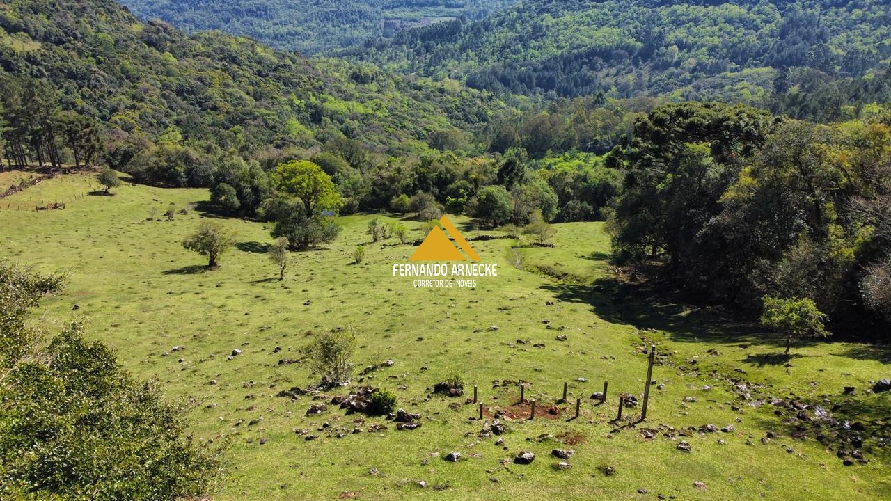 Sítio / Chácara  para Venda no bairro Recosta em São Francisco de Paula