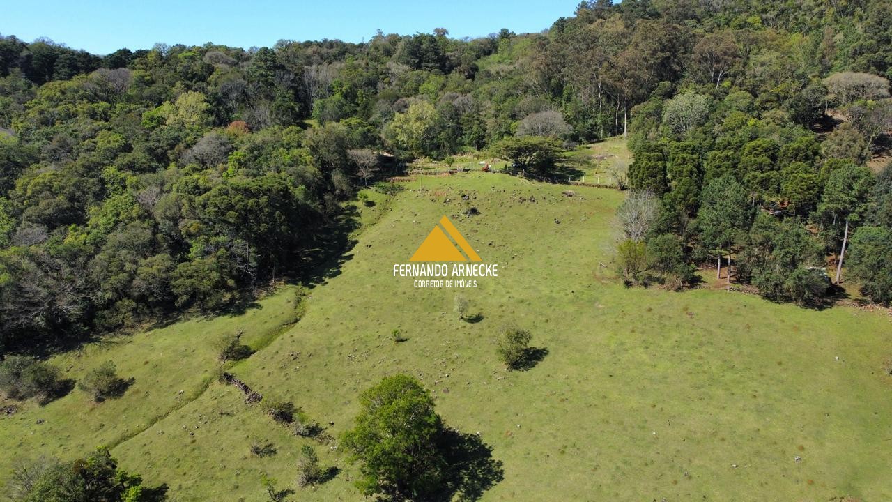 Sítio / Chácara  para Venda no bairro Recosta em São Francisco de Paula