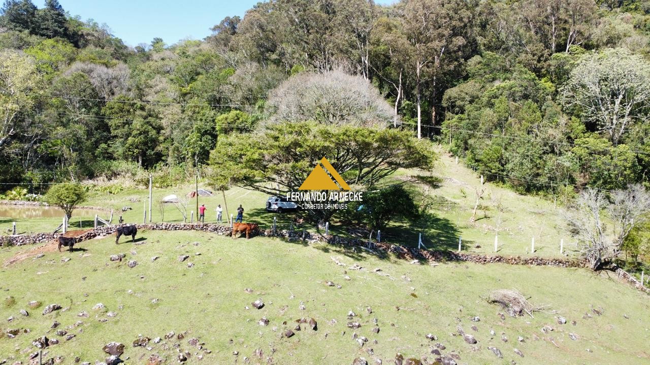 Sítio / Chácara  para Venda no bairro Recosta em São Francisco de Paula