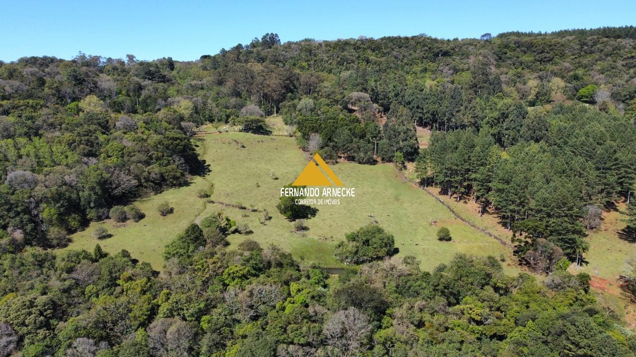 Sítio / Chácara  para Venda no bairro Recosta em São Francisco de Paula