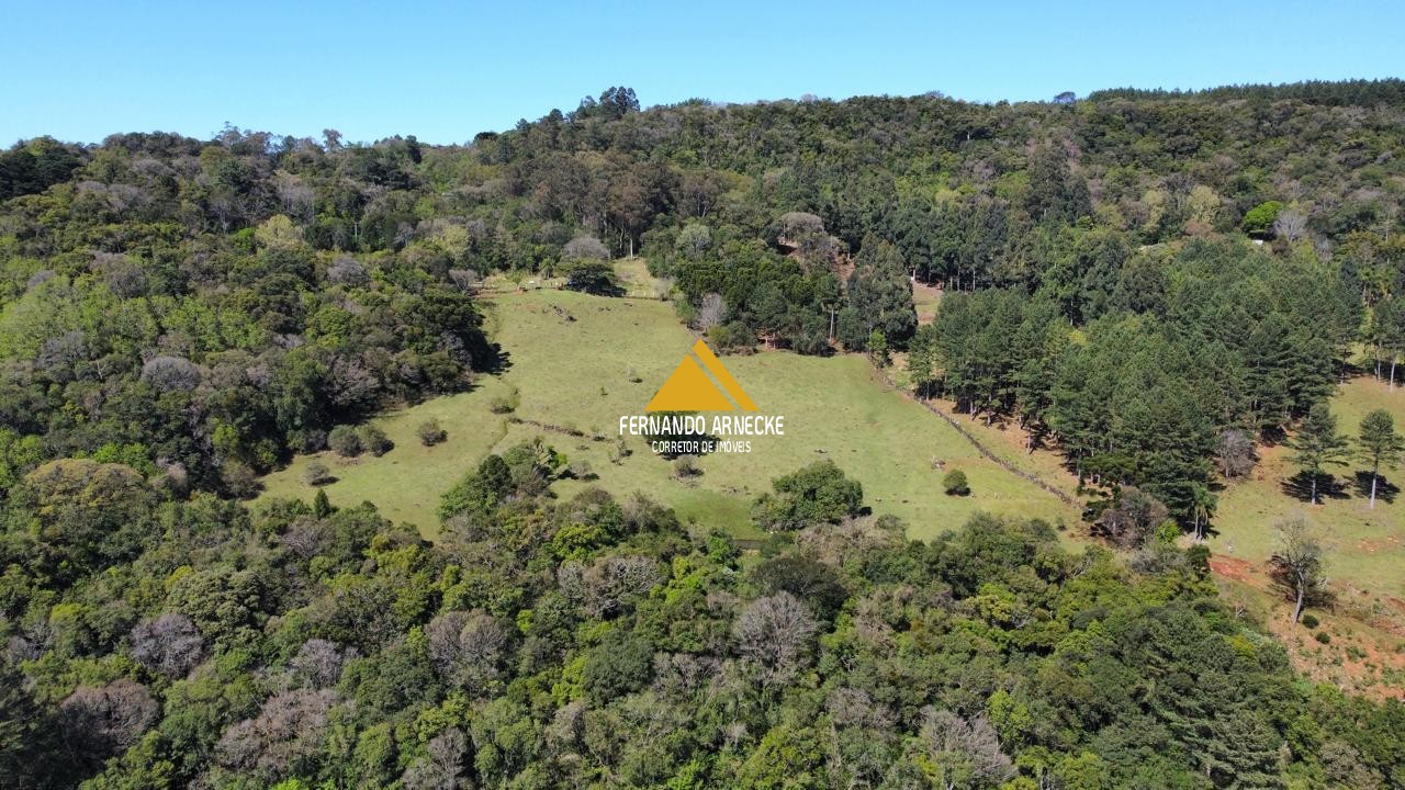 Sítio / Chácara  para Venda no bairro Recosta em São Francisco de Paula