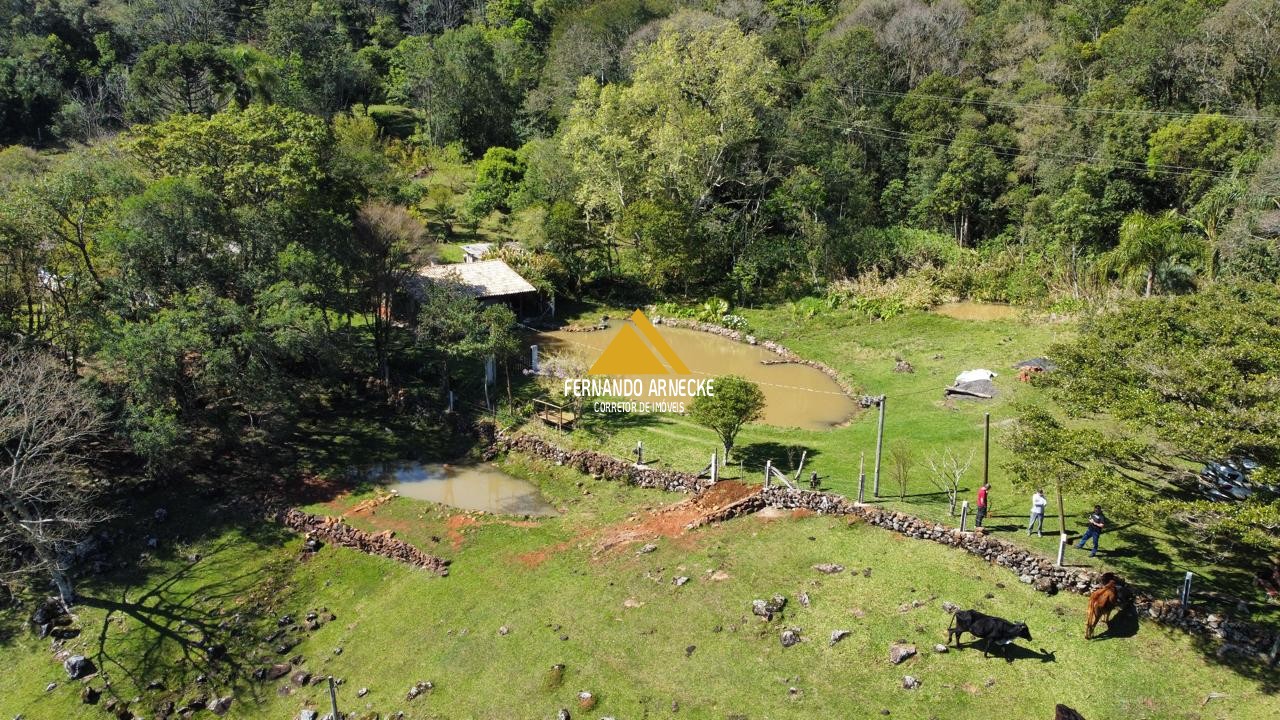 Sítio / Chácara  para Venda no bairro Recosta em São Francisco de Paula