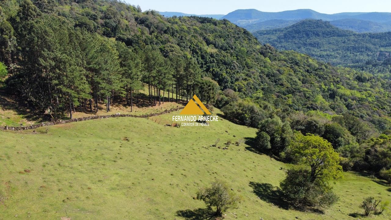 Sítio / Chácara  para Venda no bairro Recosta em São Francisco de Paula