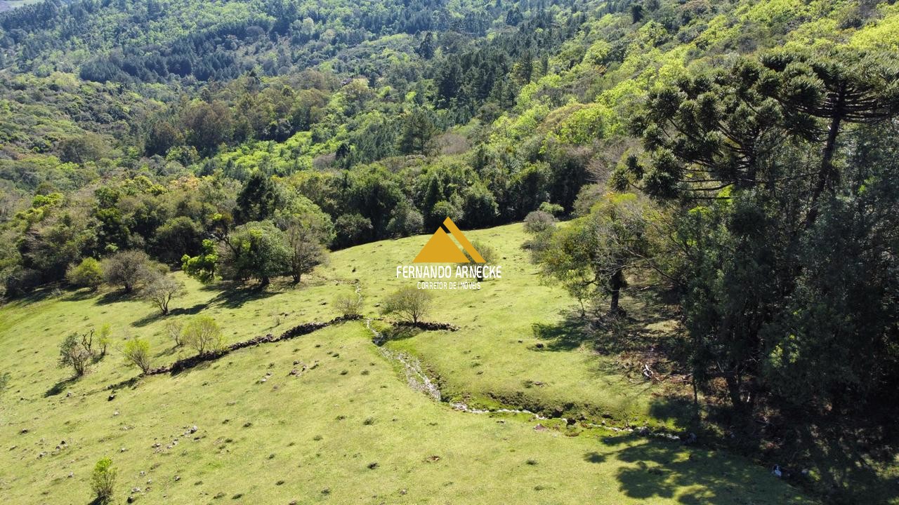 Sítio / Chácara  para Venda no bairro Recosta em São Francisco de Paula
