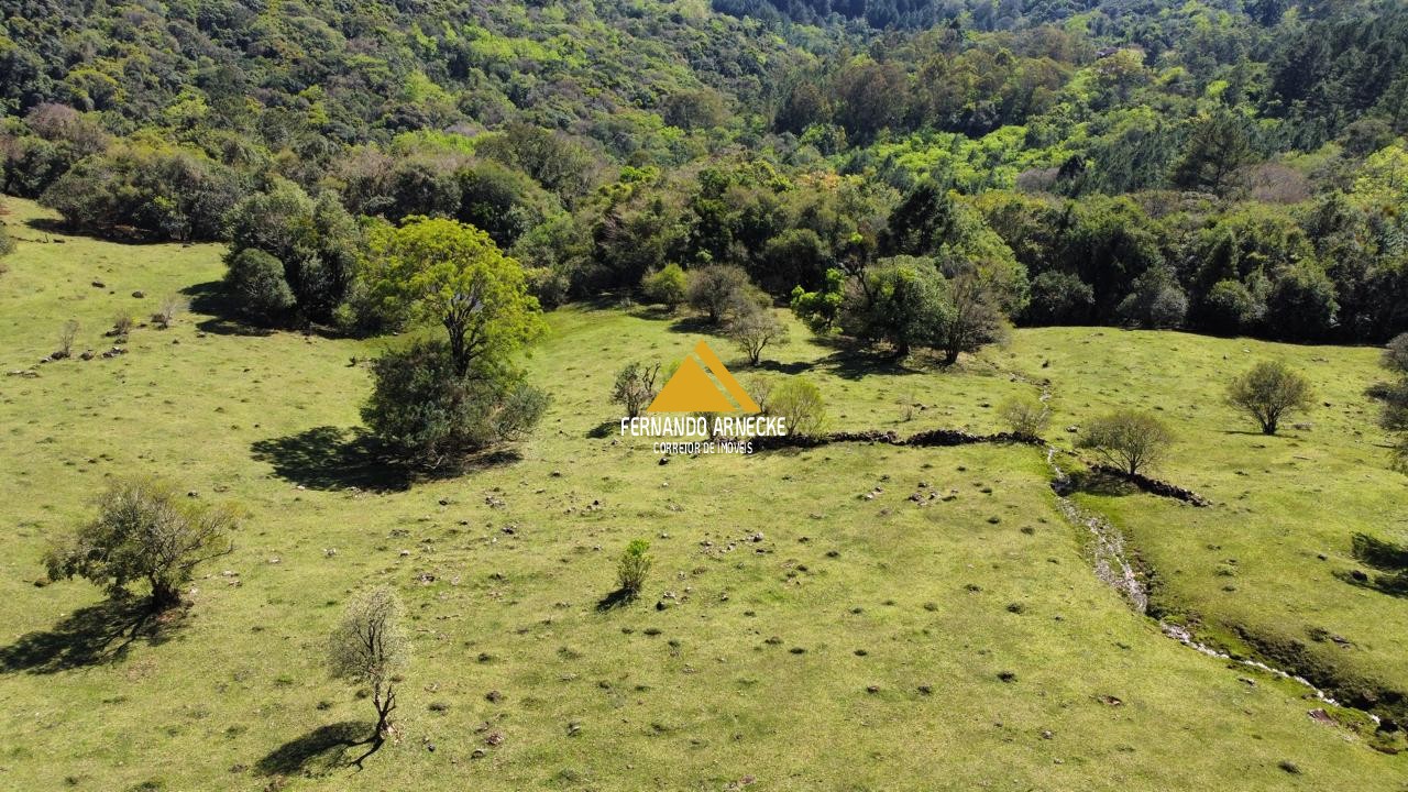 Sítio / Chácara  para Venda no bairro Recosta em São Francisco de Paula