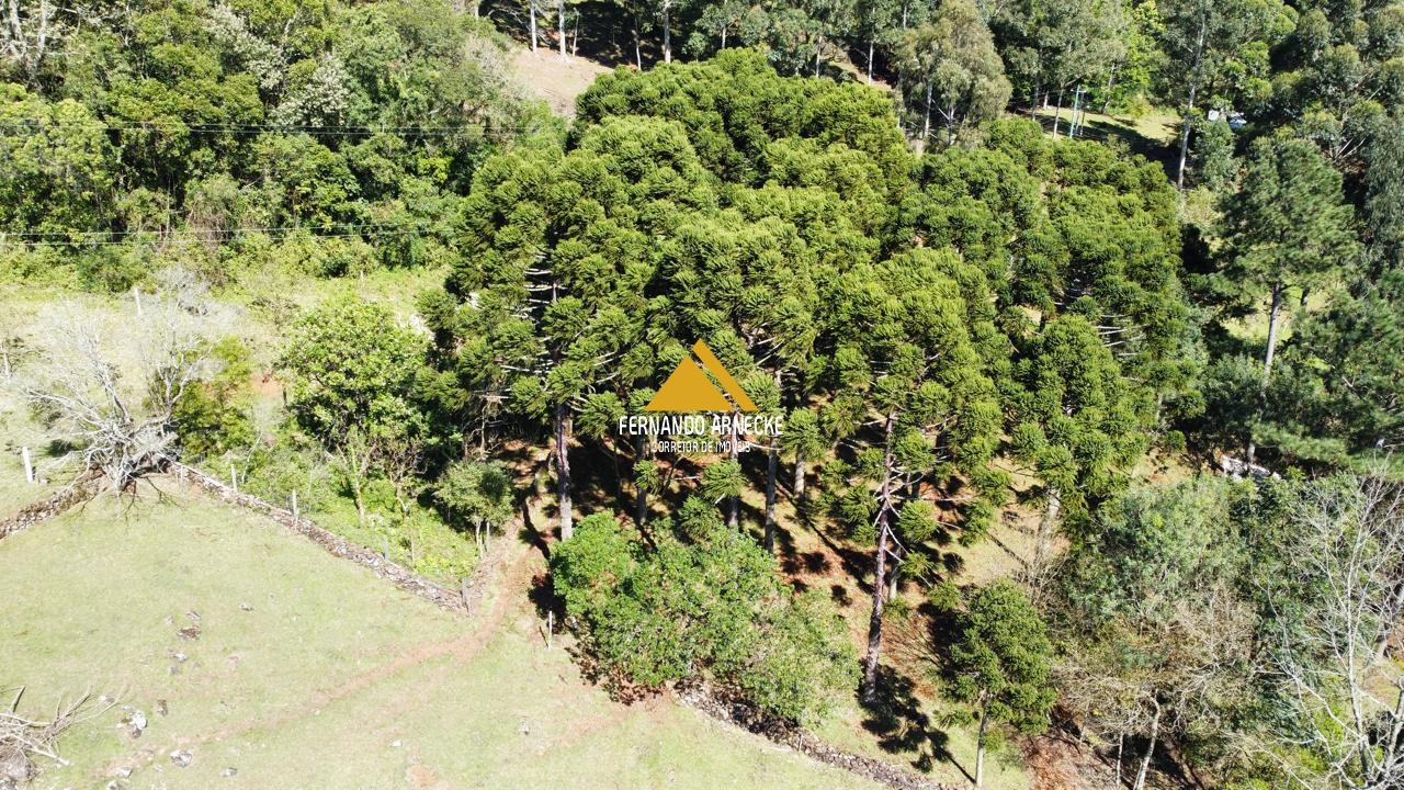 Sítio / Chácara  para Venda no bairro Recosta em São Francisco de Paula