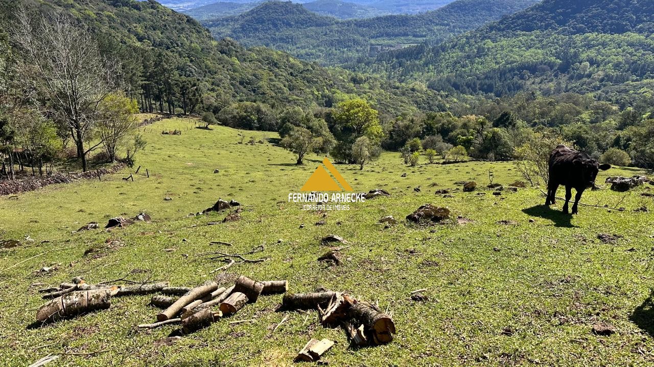 Sítio / Chácara  para Venda no bairro Recosta em São Francisco de Paula