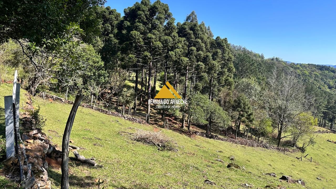 Sítio / Chácara  para Venda no bairro Recosta em São Francisco de Paula