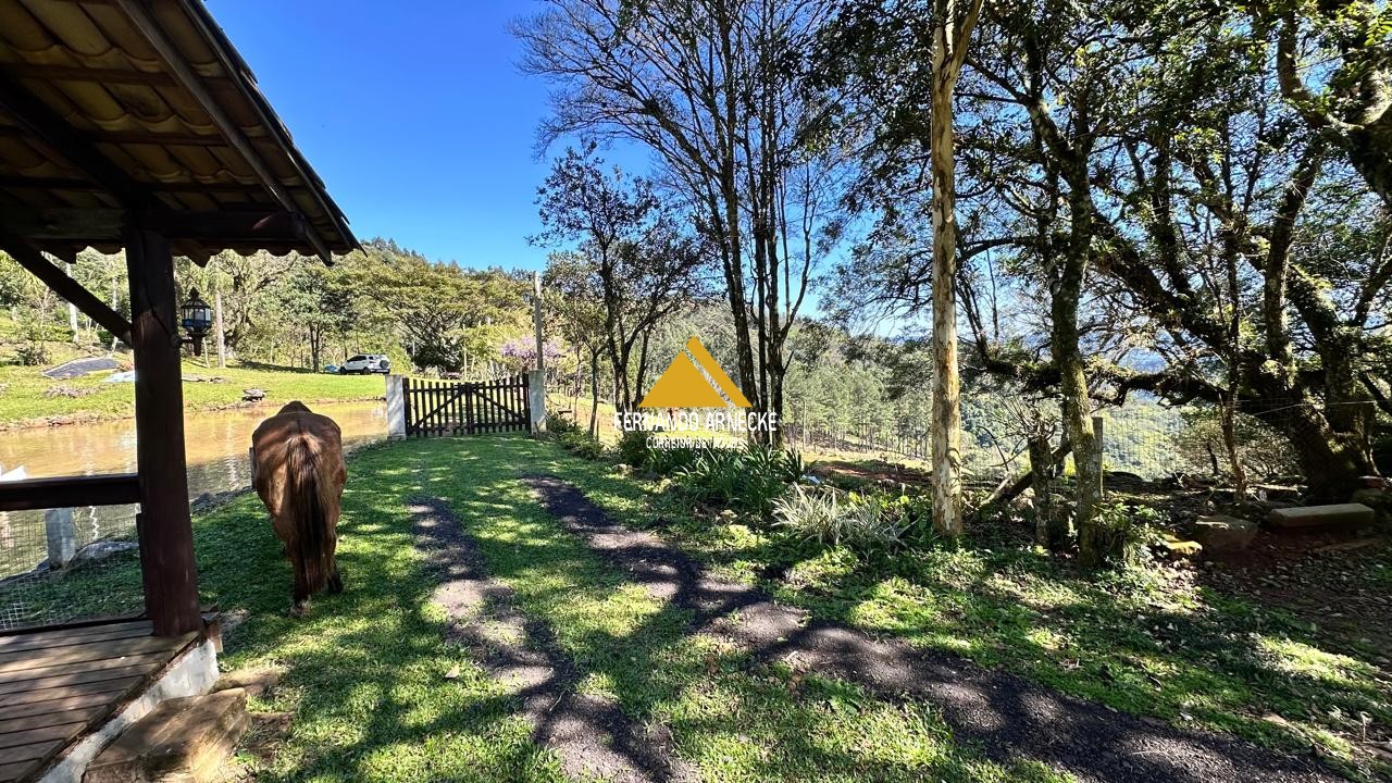 Sítio / Chácara  para Venda no bairro Recosta em São Francisco de Paula