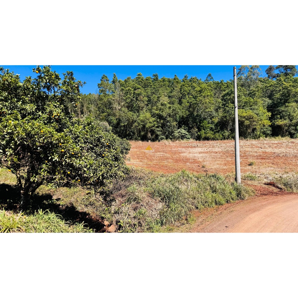 Sítio / Chácara para Venda no bairro Linha Quatro Cantos em Morro Reuter