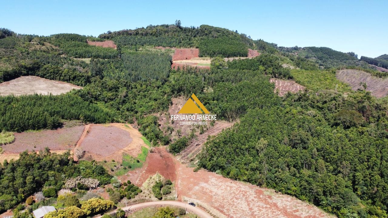 Sítio / Chácara para Venda no bairro Linha Quatro Cantos em Morro Reuter