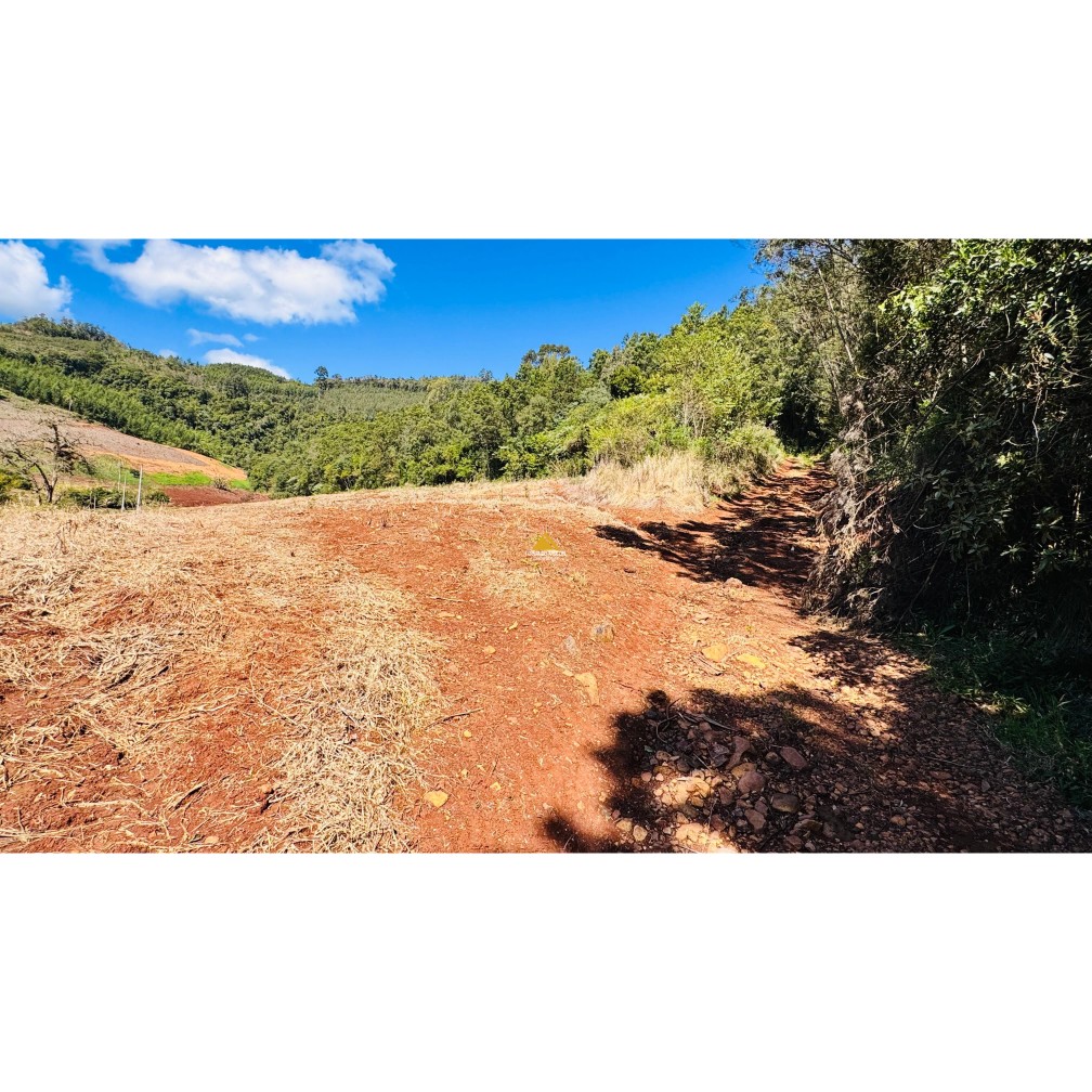 Sítio / Chácara para Venda no bairro Linha Quatro Cantos em Morro Reuter