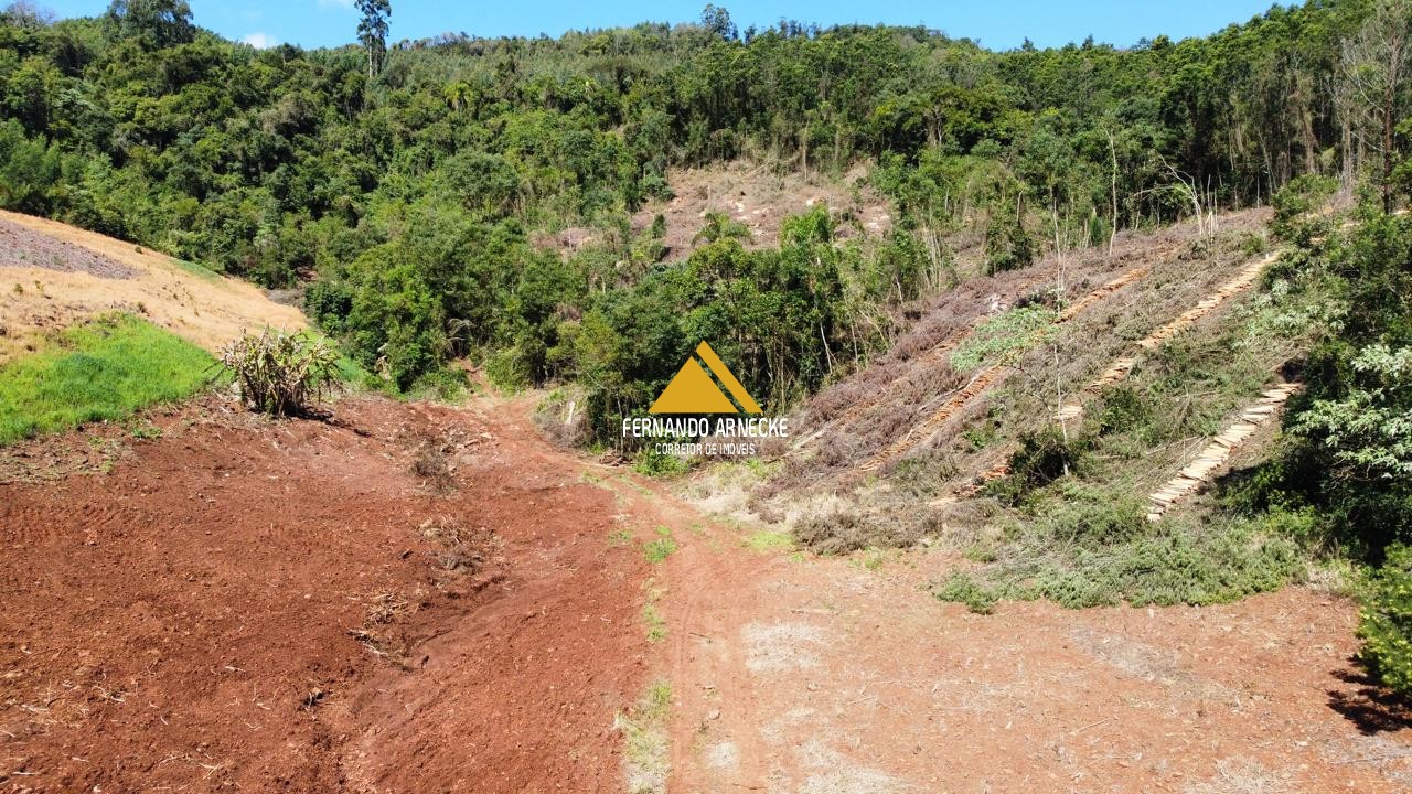 Sítio / Chácara para Venda no bairro Linha Quatro Cantos em Morro Reuter