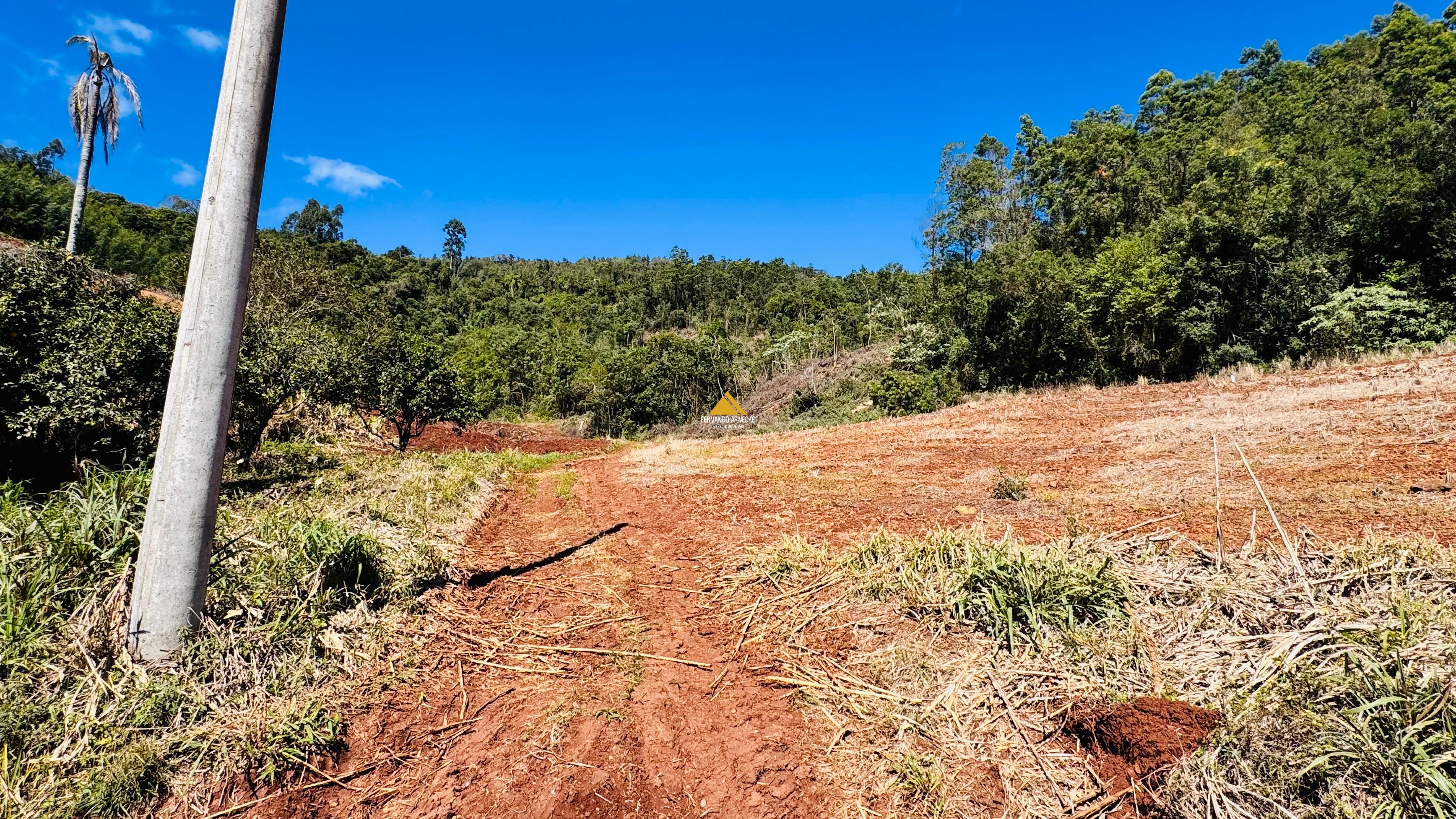 Sítio / Chácara para Venda no bairro Linha Quatro Cantos em Morro Reuter