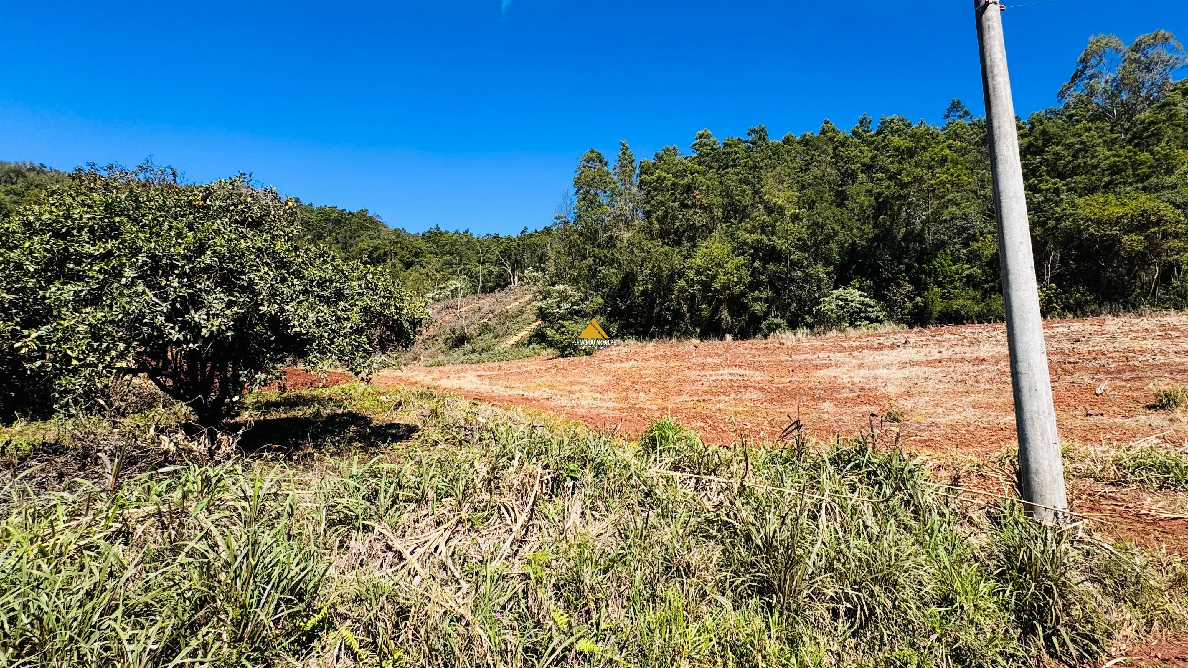 Sítio / Chácara para Venda no bairro Linha Quatro Cantos em Morro Reuter