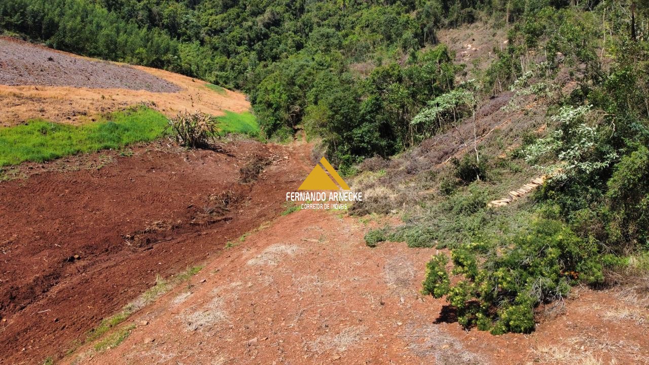 Sítio / Chácara para Venda no bairro Linha Quatro Cantos em Morro Reuter