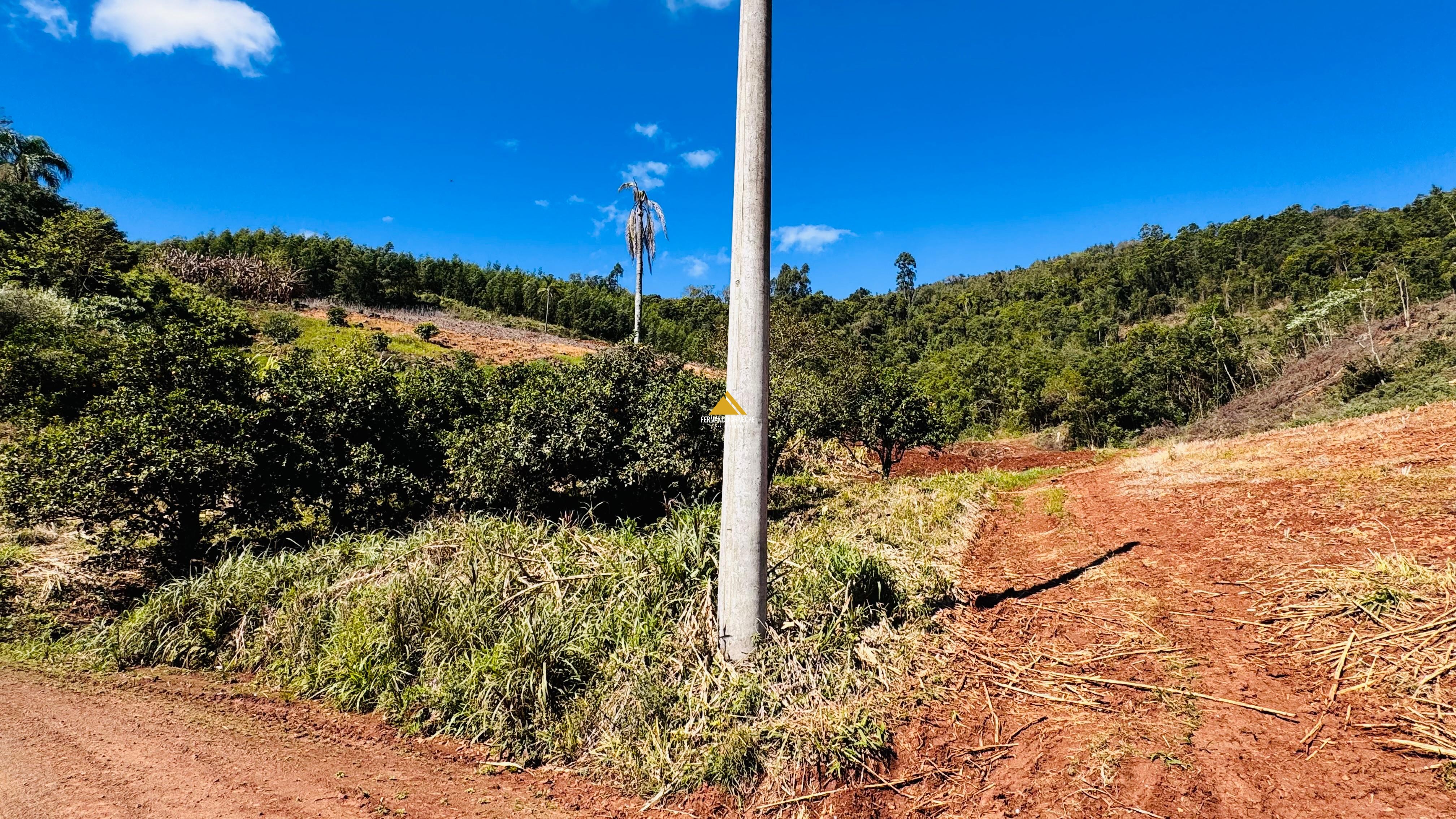 Sítio / Chácara para Venda no bairro Linha Quatro Cantos em Morro Reuter