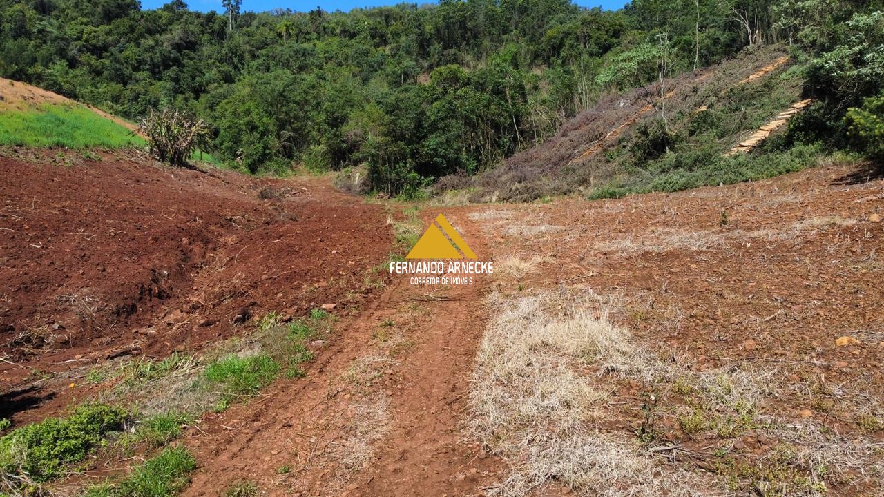 Sítio / Chácara para Venda no bairro Linha Quatro Cantos em Morro Reuter