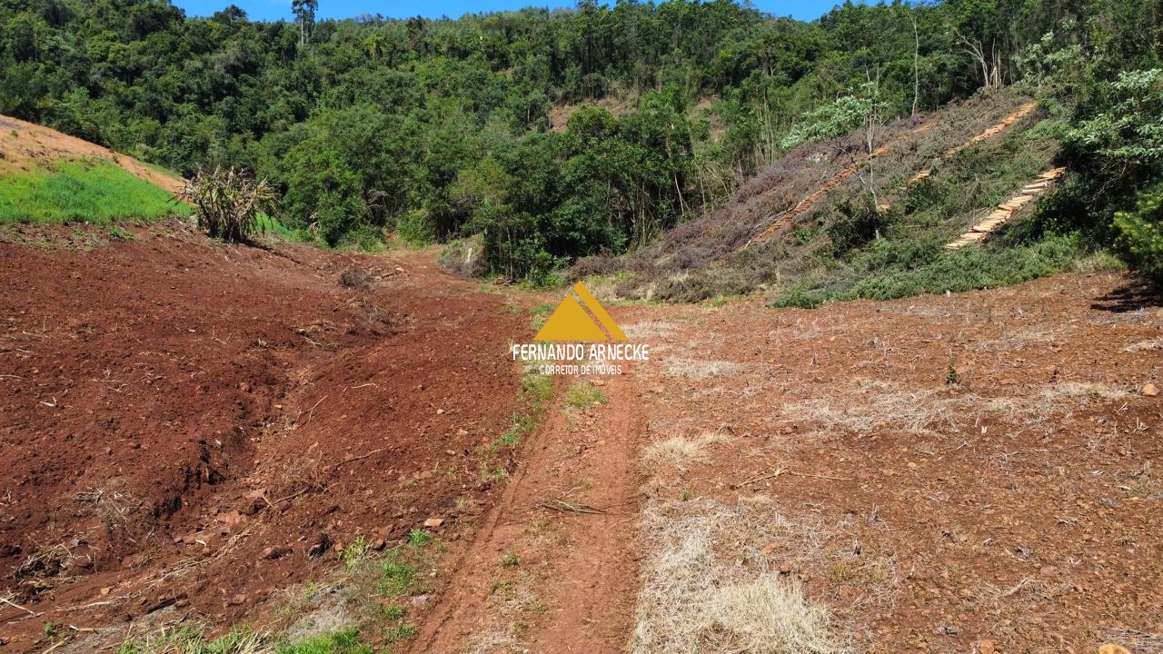 Sítio / Chácara para Venda no bairro Linha Quatro Cantos em Morro Reuter