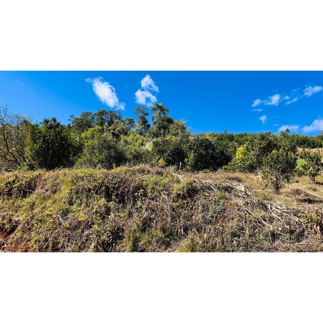 Sítio / Chácara para Venda no bairro Linha Quatro Cantos em Morro Reuter