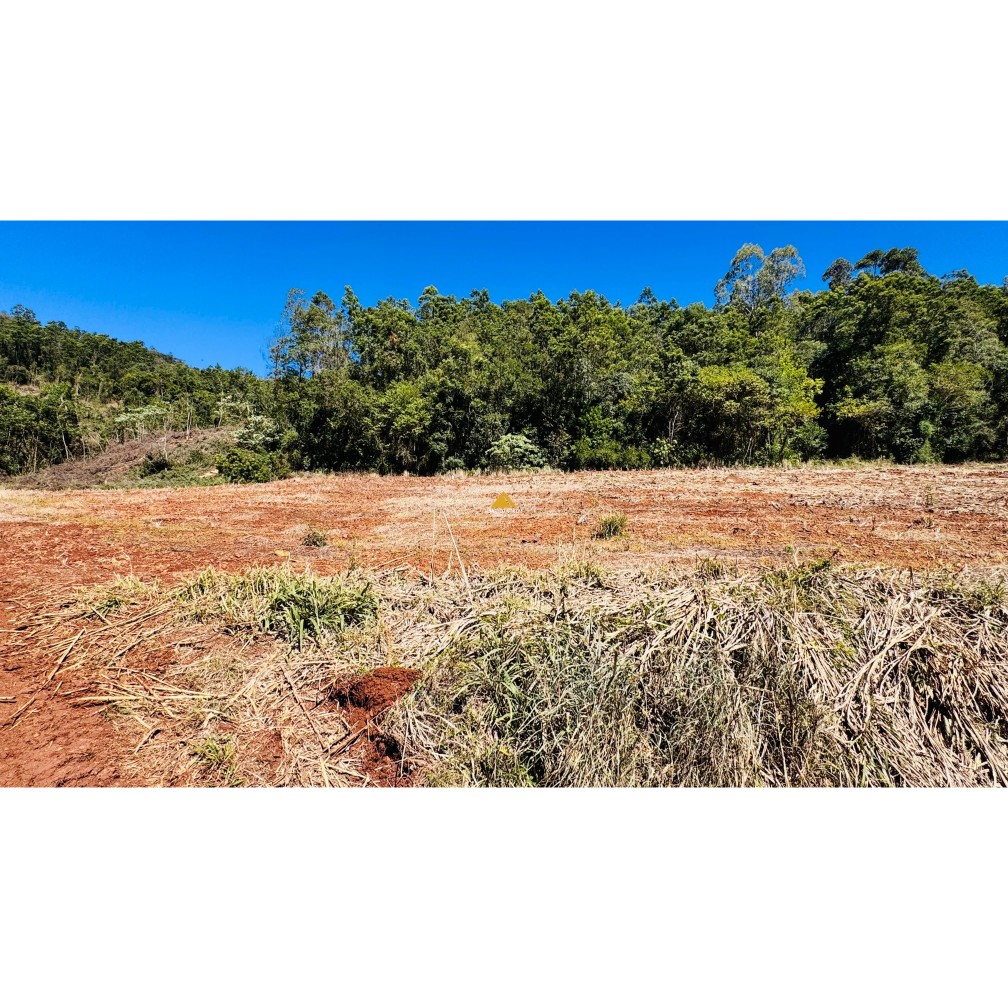 Sítio / Chácara para Venda no bairro Linha Quatro Cantos em Morro Reuter
