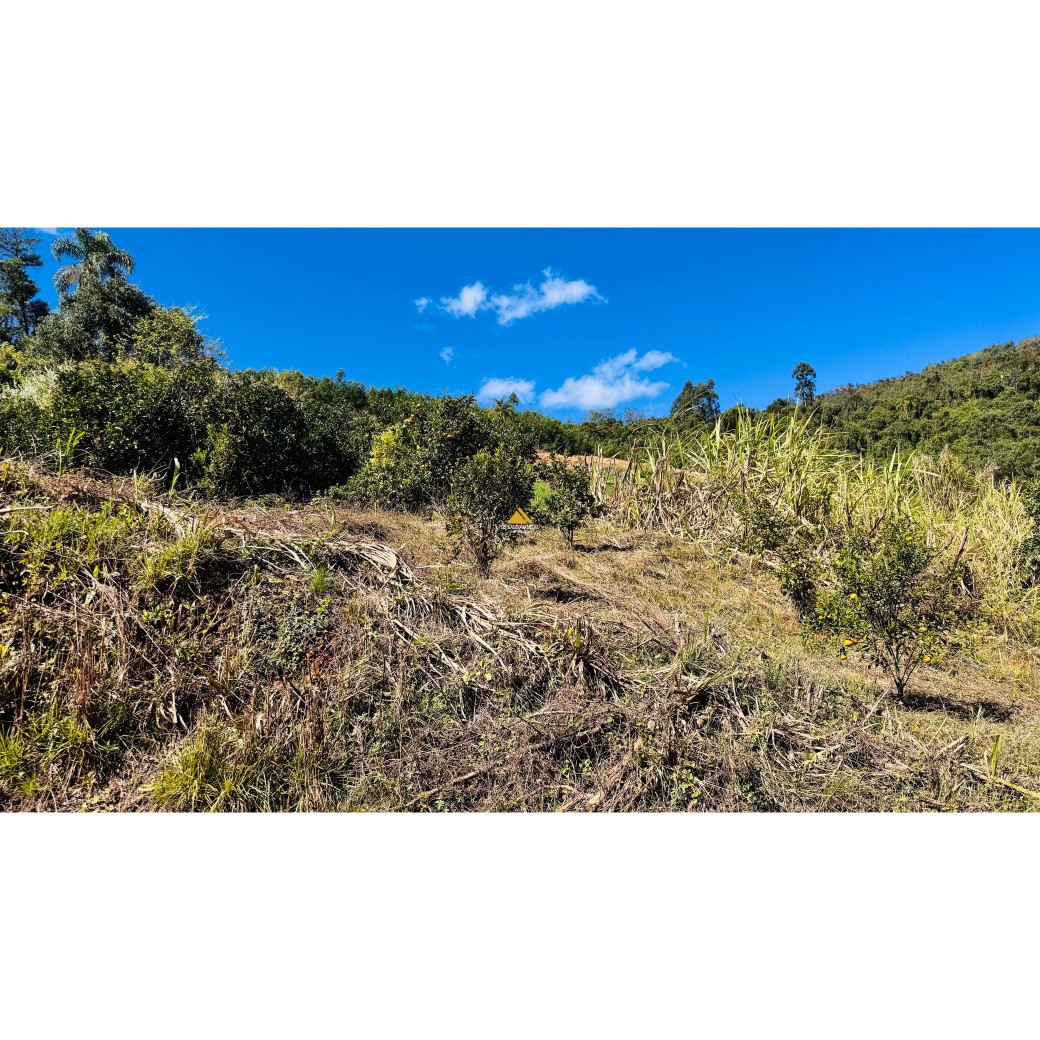 Sítio / Chácara para Venda no bairro Linha Quatro Cantos em Morro Reuter