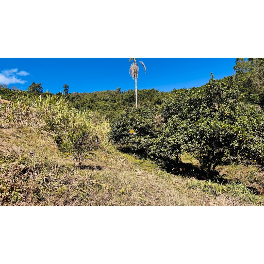 Sítio / Chácara para Venda no bairro Linha Quatro Cantos em Morro Reuter