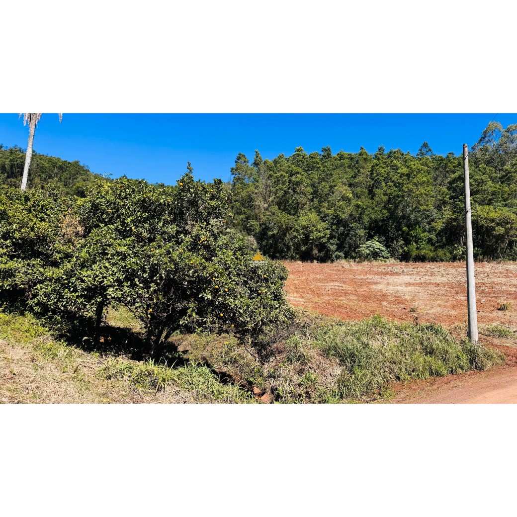 Sítio / Chácara para Venda no bairro Linha Quatro Cantos em Morro Reuter