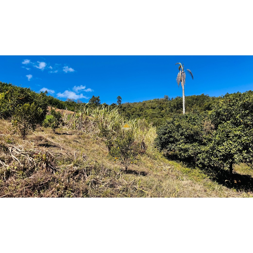 Sítio / Chácara para Venda no bairro Linha Quatro Cantos em Morro Reuter