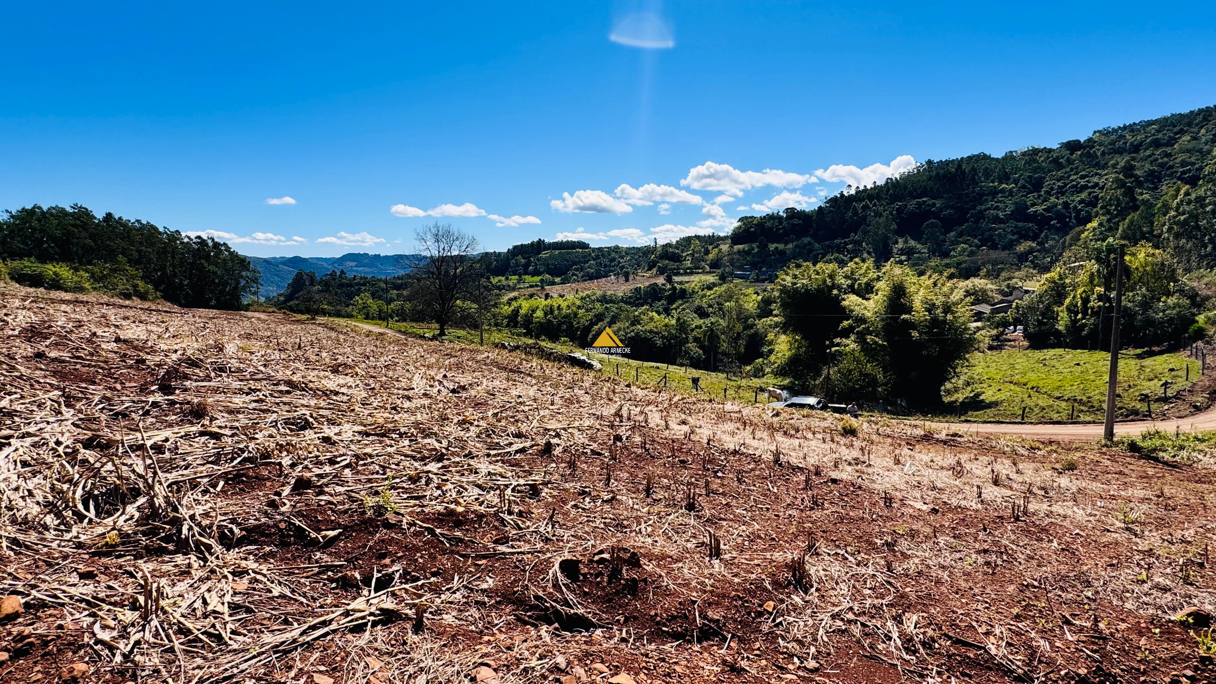 Sítio / Chácara para Venda no bairro Linha Quatro Cantos em Morro Reuter