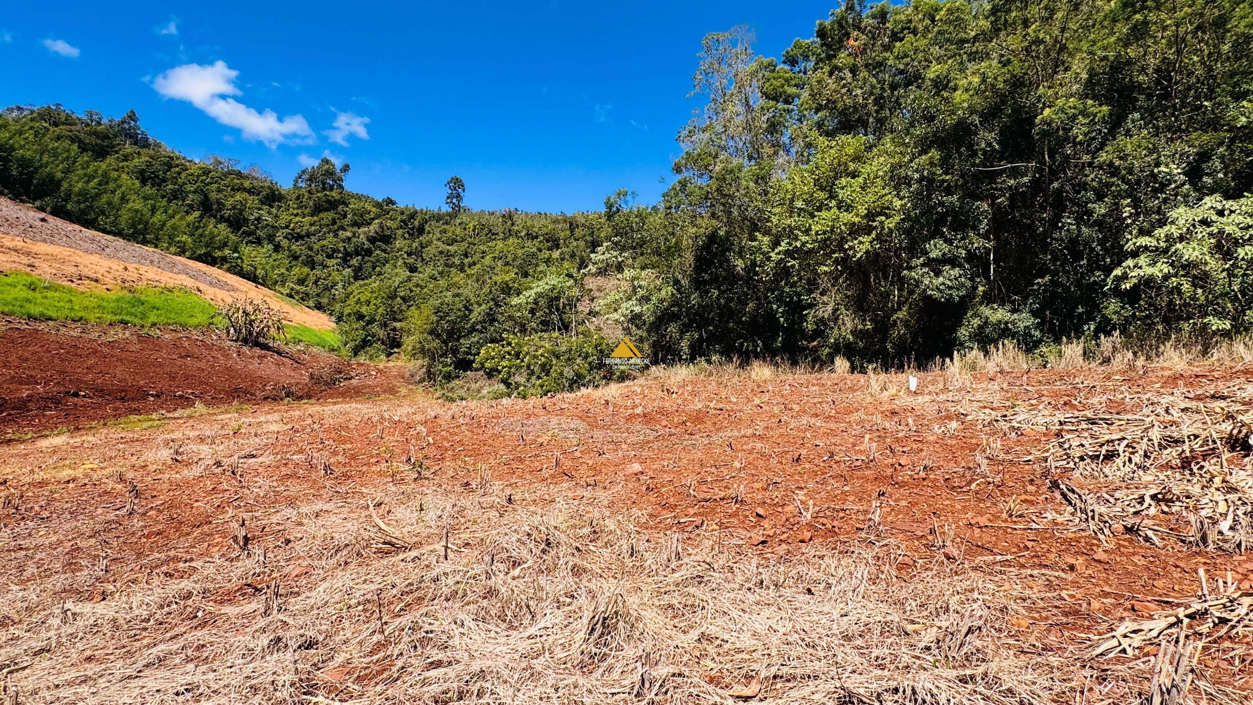 Sítio / Chácara para Venda no bairro Linha Quatro Cantos em Morro Reuter