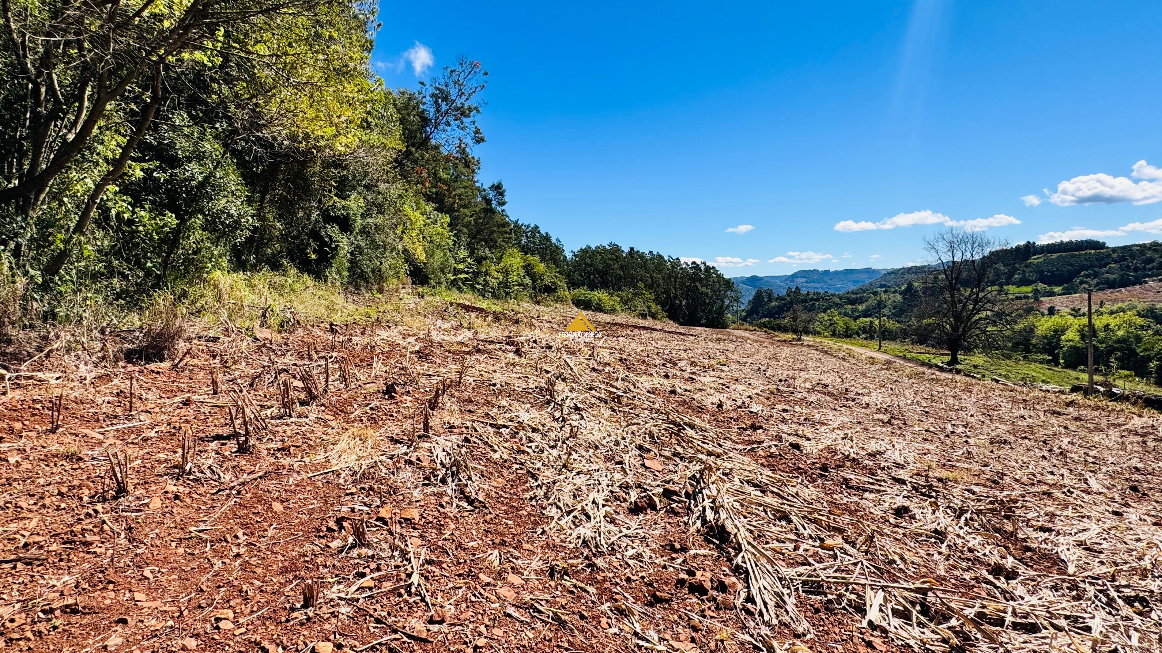 Sítio / Chácara para Venda no bairro Linha Quatro Cantos em Morro Reuter