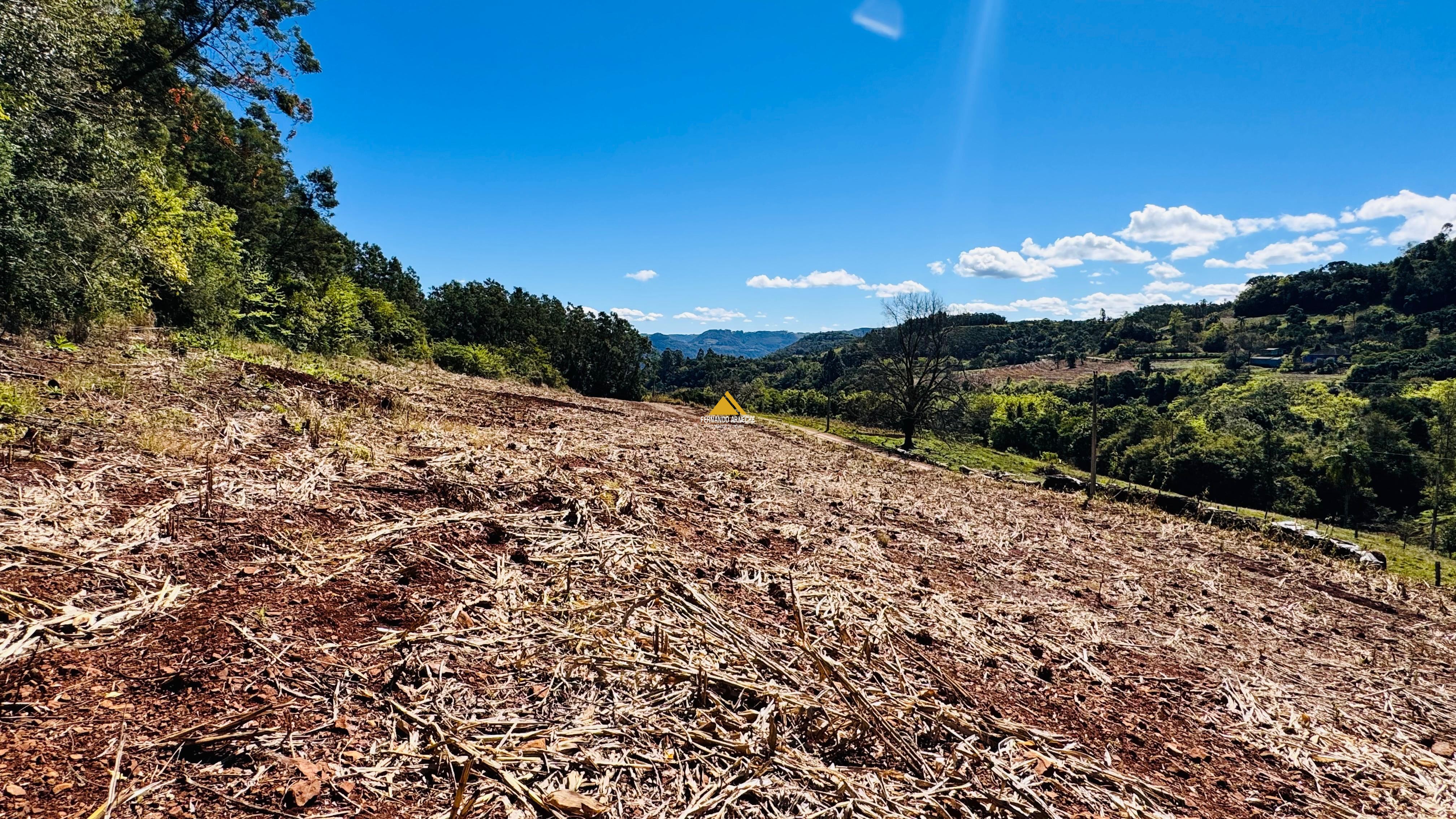 Sítio / Chácara para Venda no bairro Linha Quatro Cantos em Morro Reuter