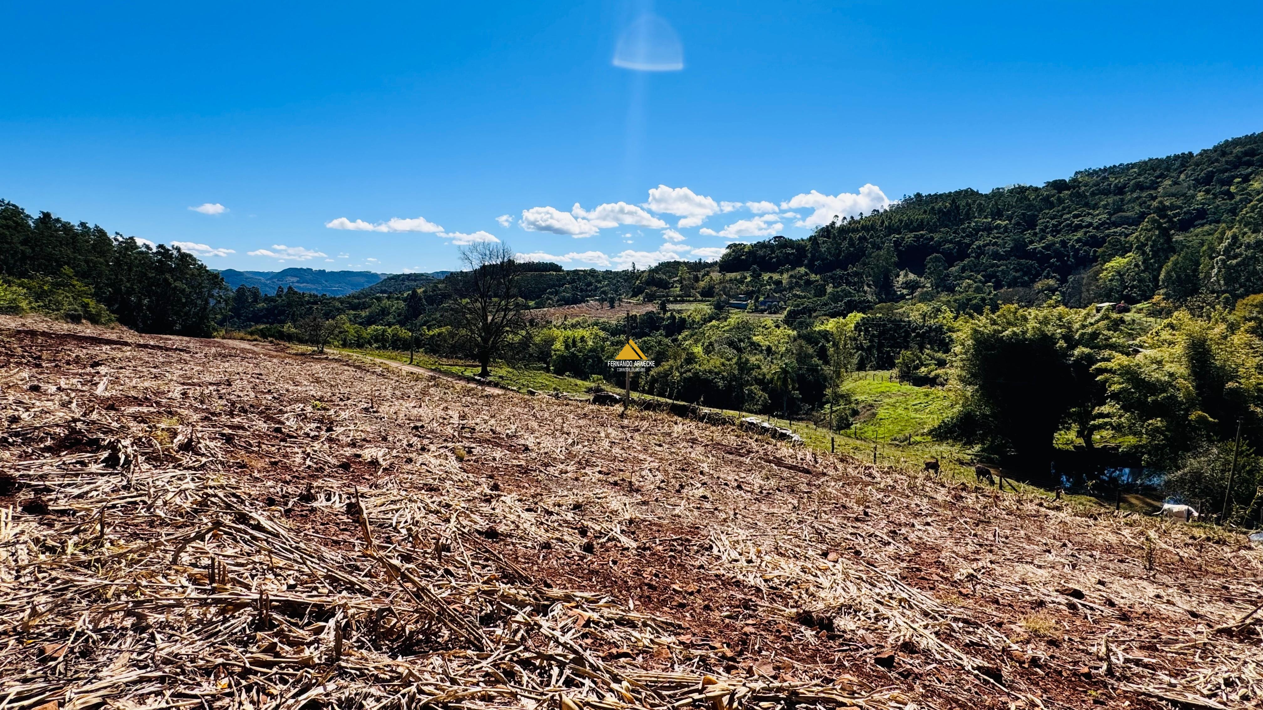 Sítio / Chácara para Venda no bairro Linha Quatro Cantos em Morro Reuter