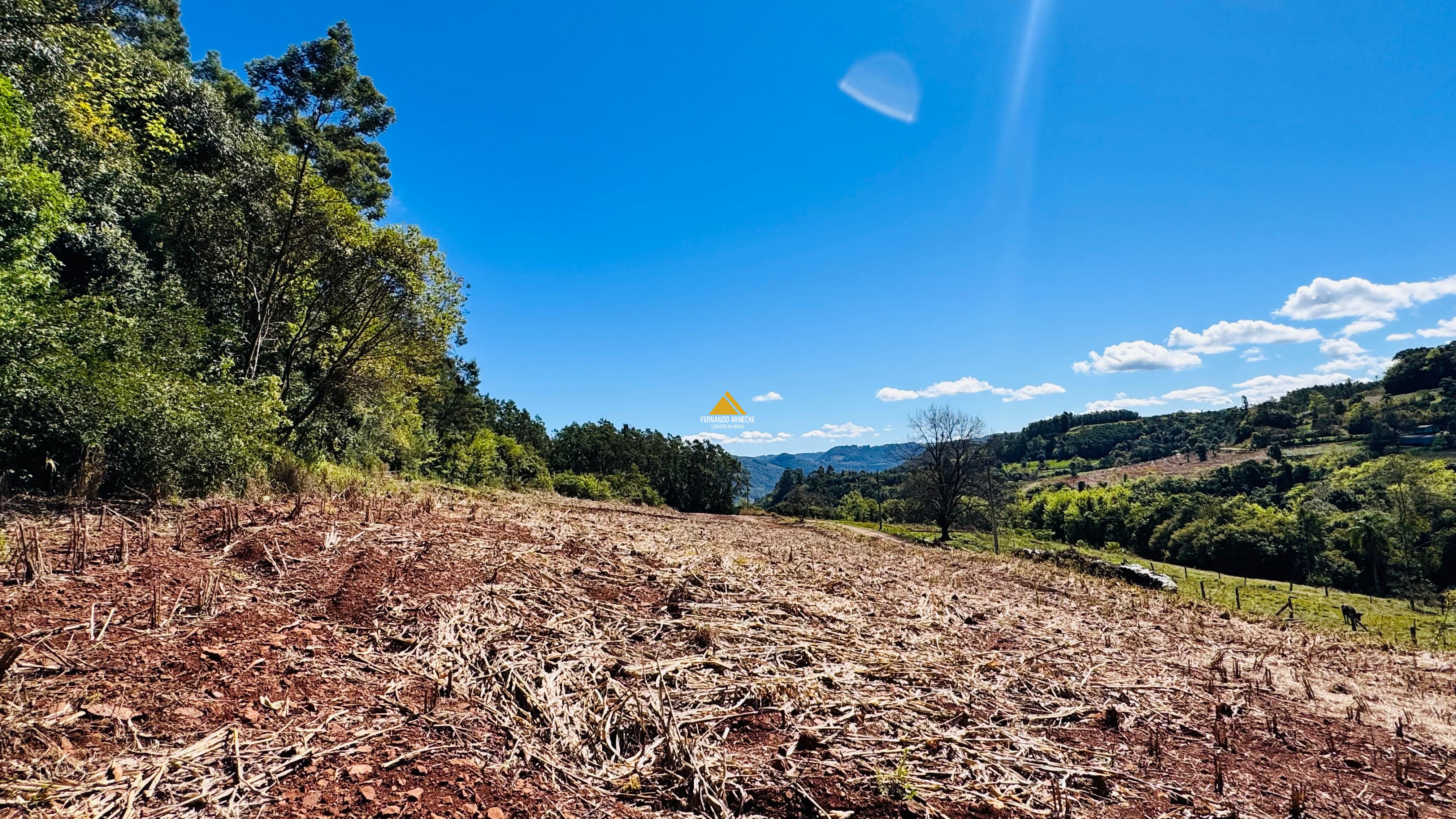 Sítio / Chácara para Venda no bairro Linha Quatro Cantos em Morro Reuter