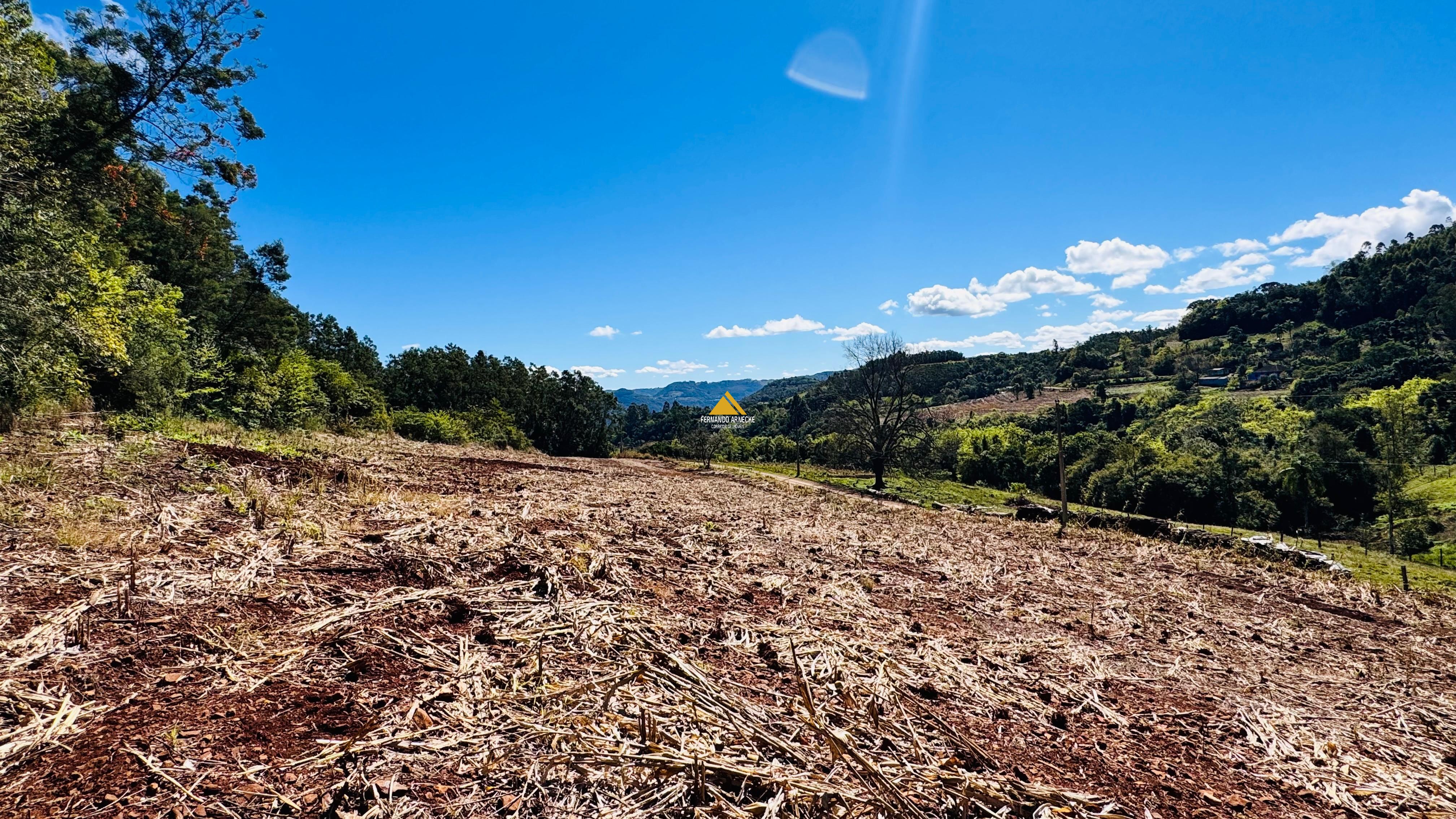 Sítio / Chácara para Venda no bairro Linha Quatro Cantos em Morro Reuter