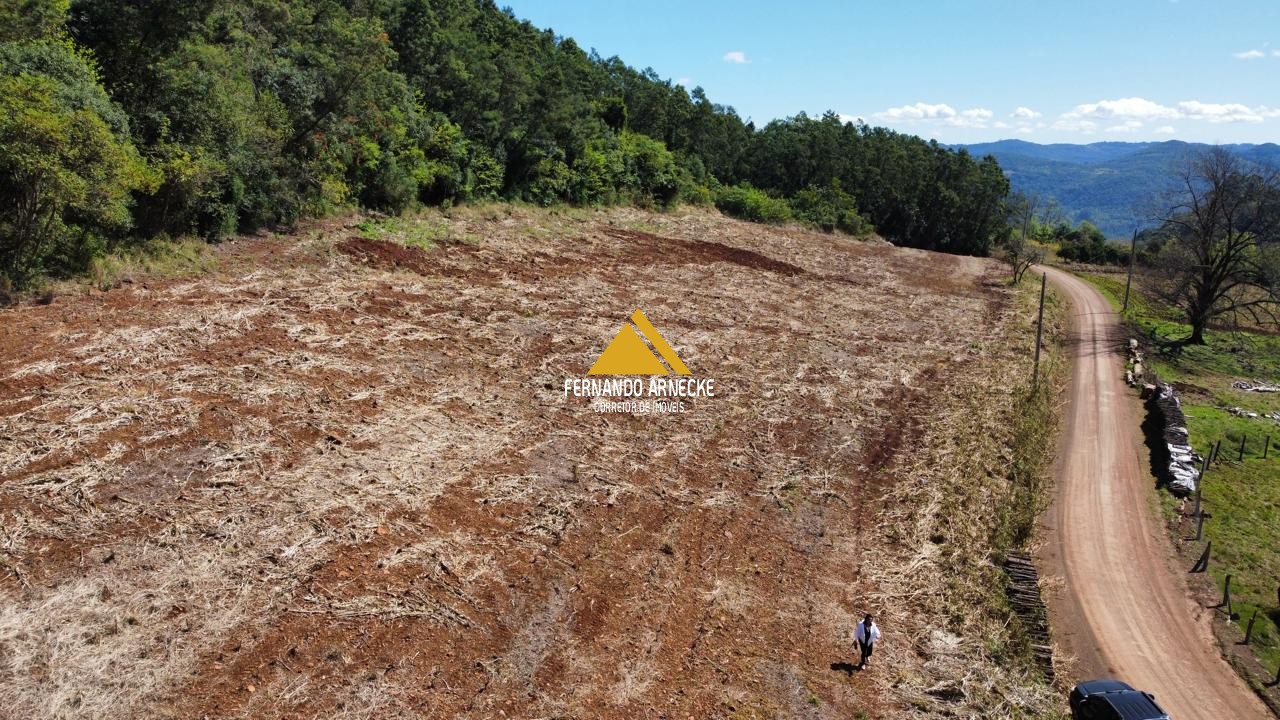Sítio / Chácara para Venda no bairro Linha Quatro Cantos em Morro Reuter