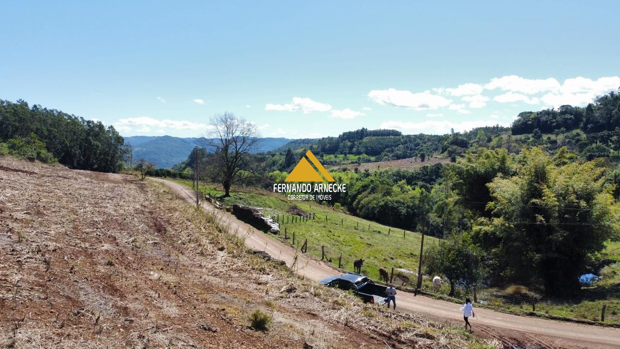 Sítio / Chácara para Venda no bairro Linha Quatro Cantos em Morro Reuter