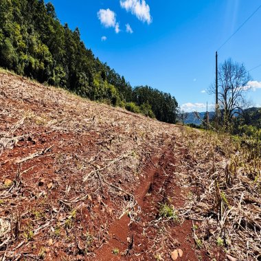 Sítio / Chácara para Venda no bairro Linha Quatro Cantos em Morro Reuter