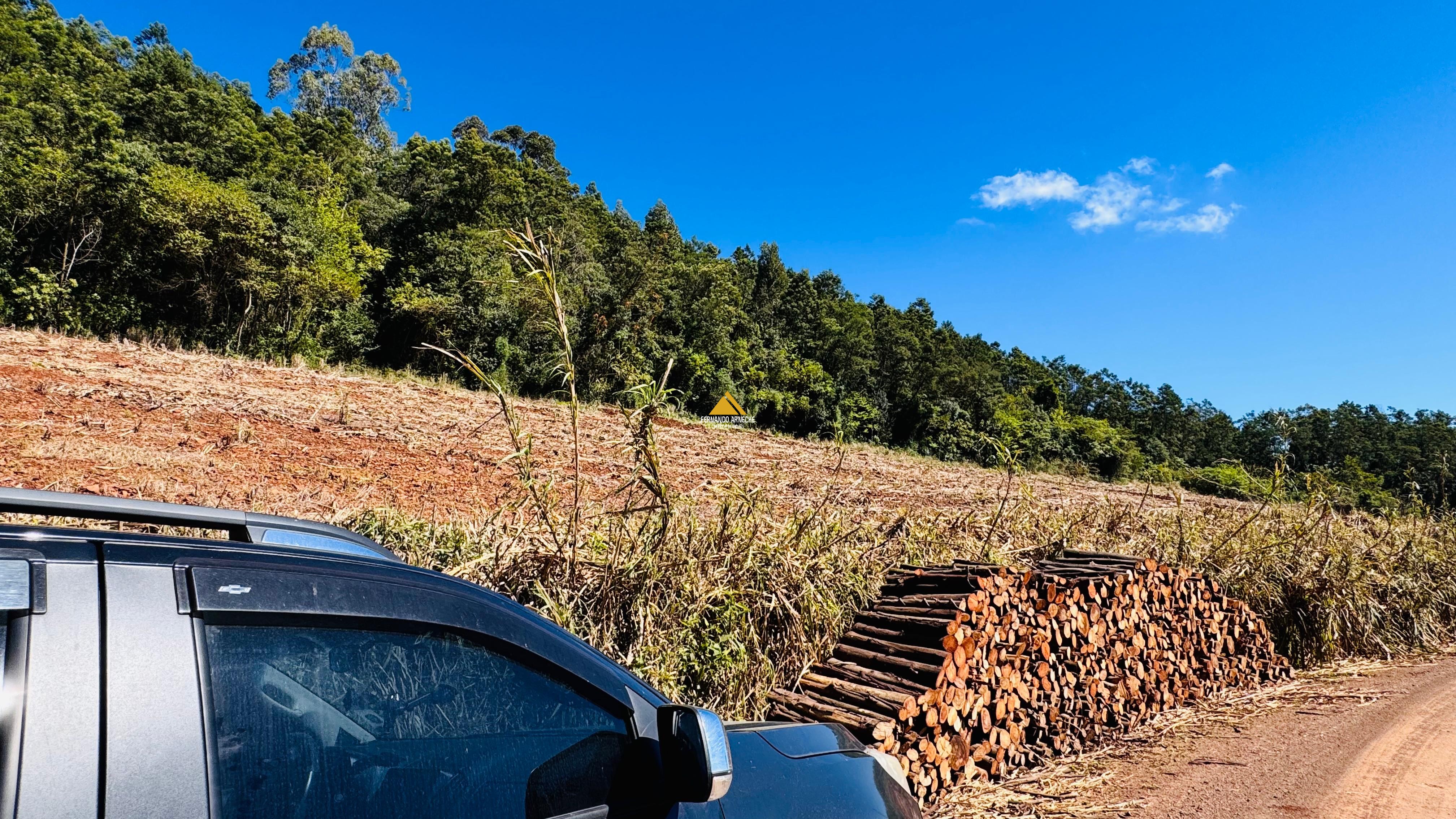 Sítio / Chácara para Venda no bairro Linha Quatro Cantos em Morro Reuter